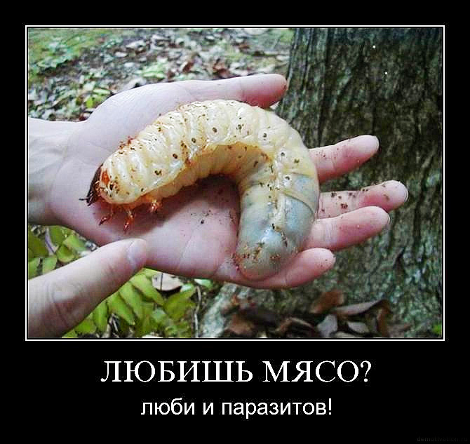 Если течет из носа что за болезнь